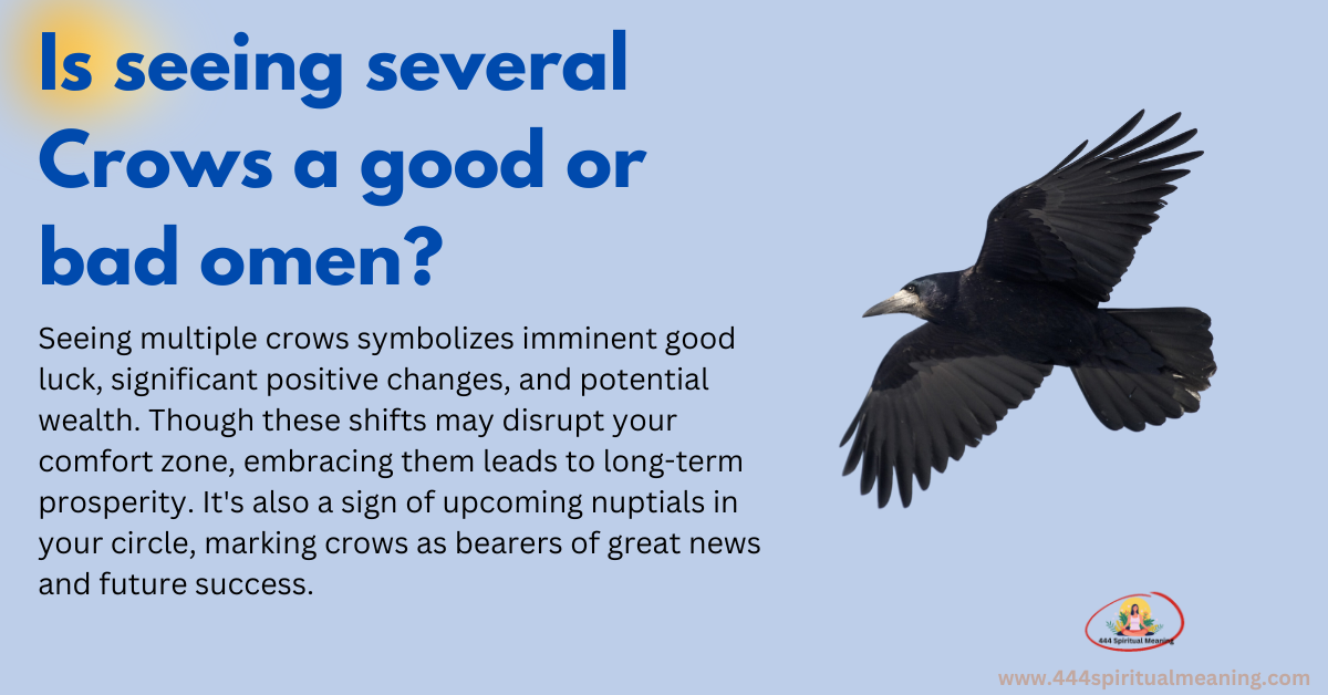 Is seeing several Crows a good or bad omen?