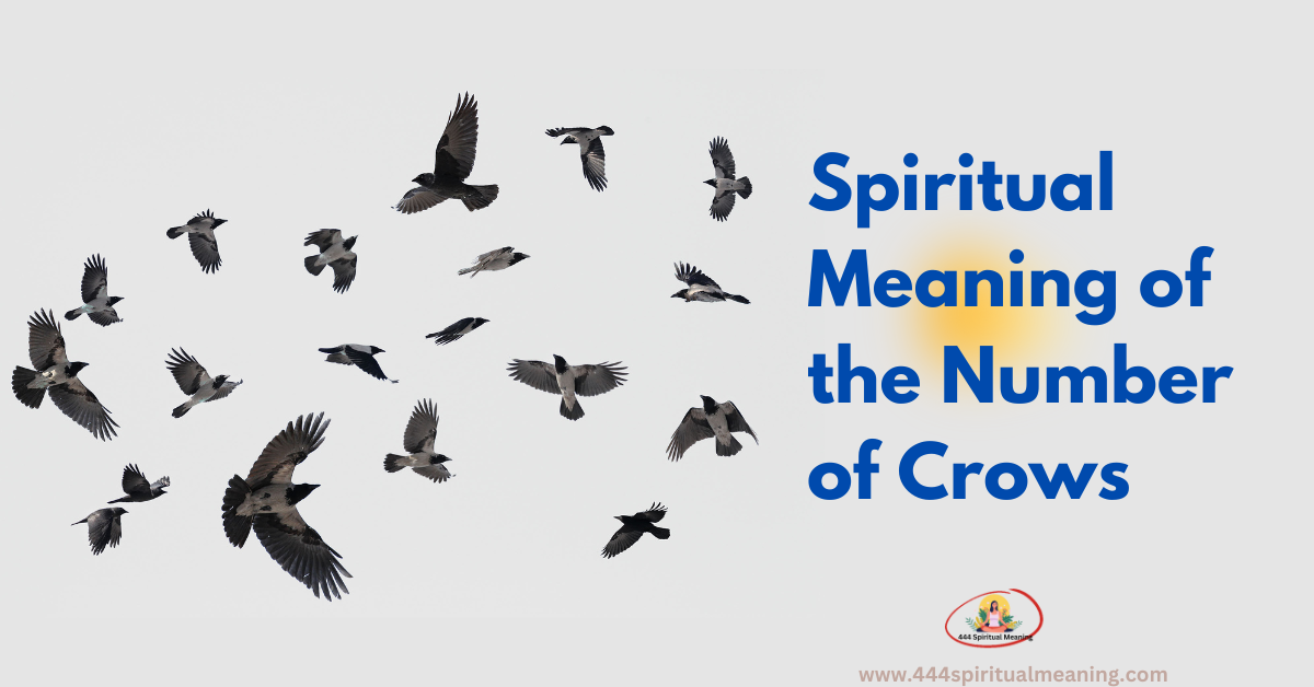 Spiritual Meaning Of The Number Of Crows