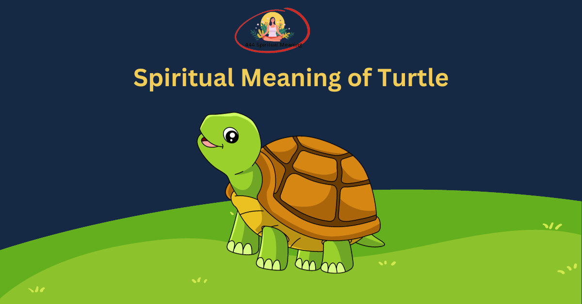 Spiritual Meaning of Turtle