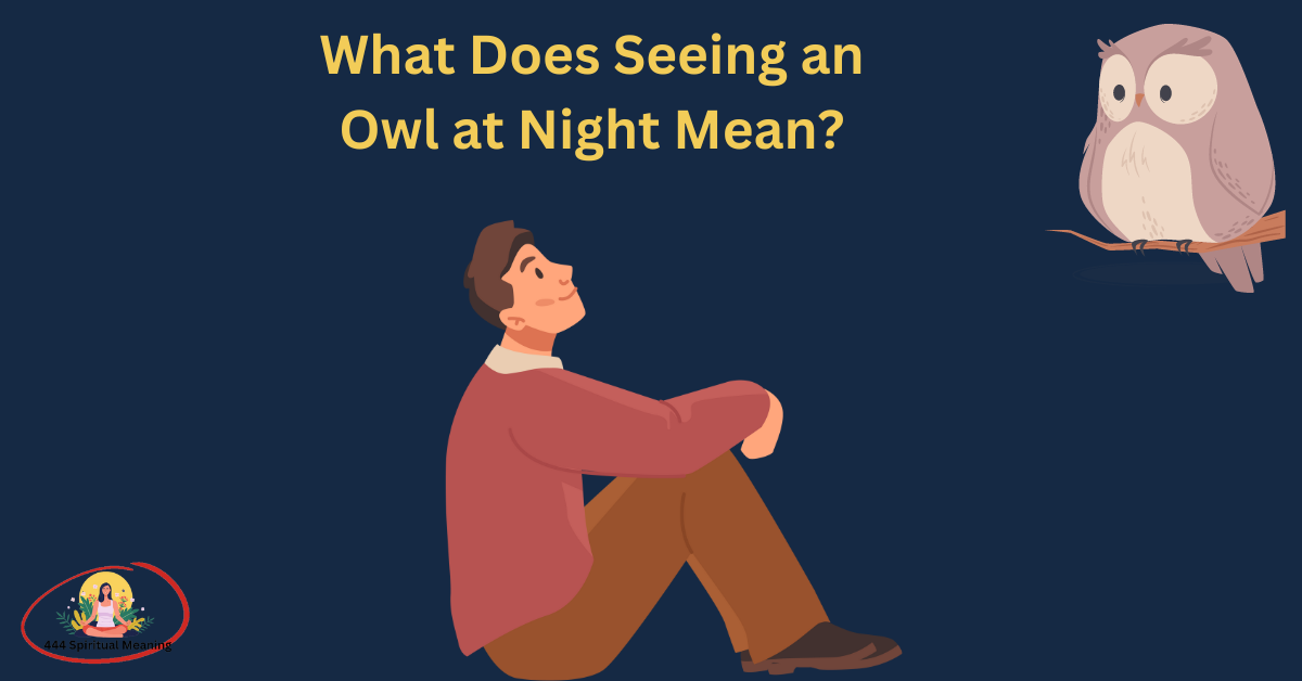 What Does Seeing an Owl at Night Mean