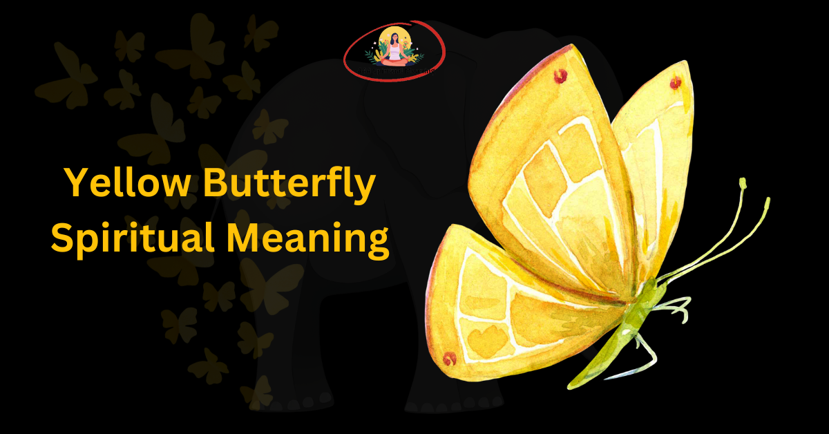 Yellow Butterfly Spiritual Meaning