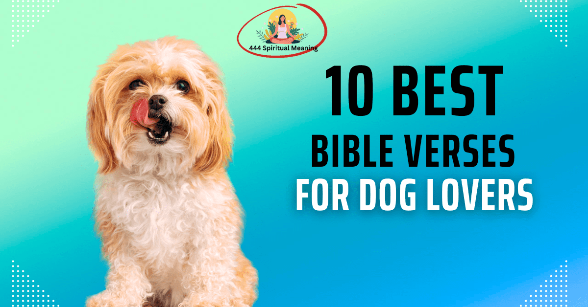 10 Best Bible Verses For Dog Lovers