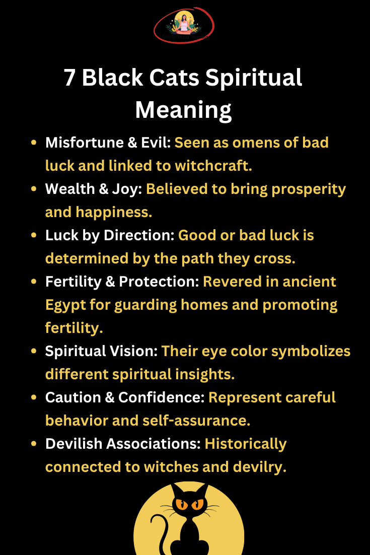 7 Black Cats Spiritual Meaning