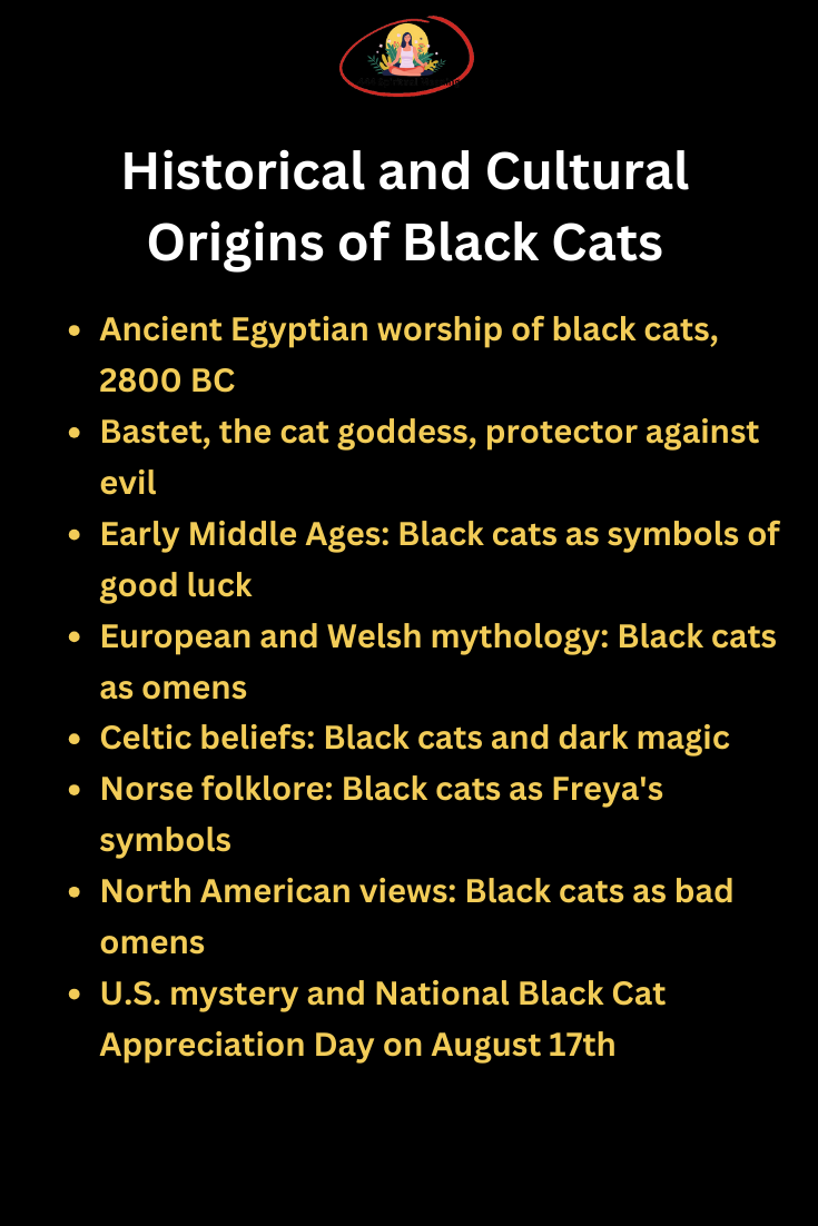 Historical and Cultural Origins of Black Cats