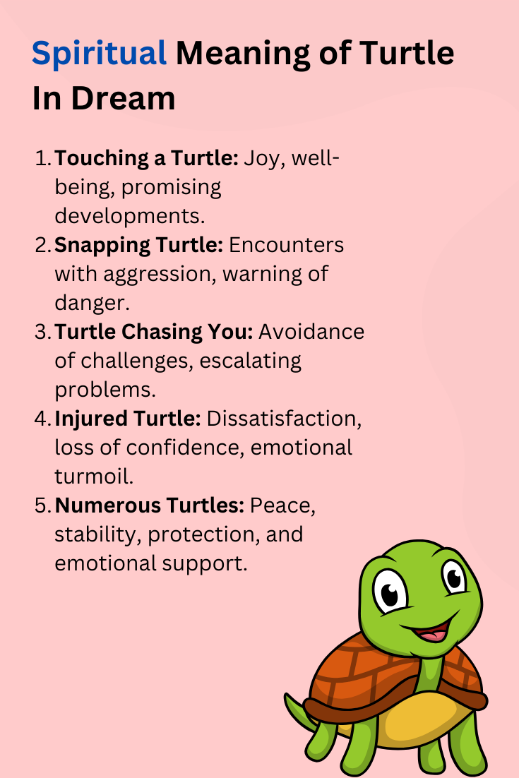 Spiritual Meaning of Turtle In Dream