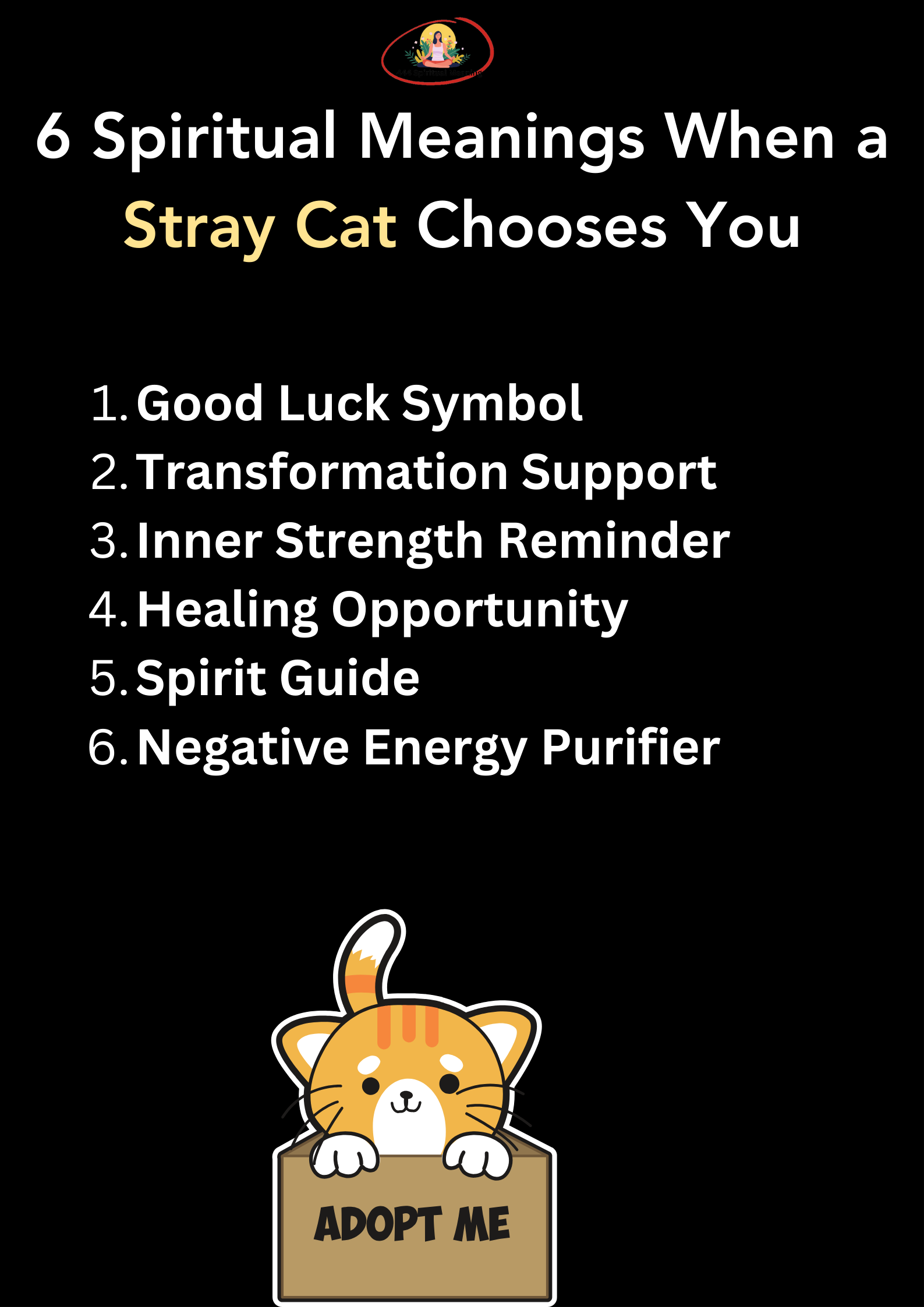 6 Spiritual Meanings When a Stray Cat Chooses You