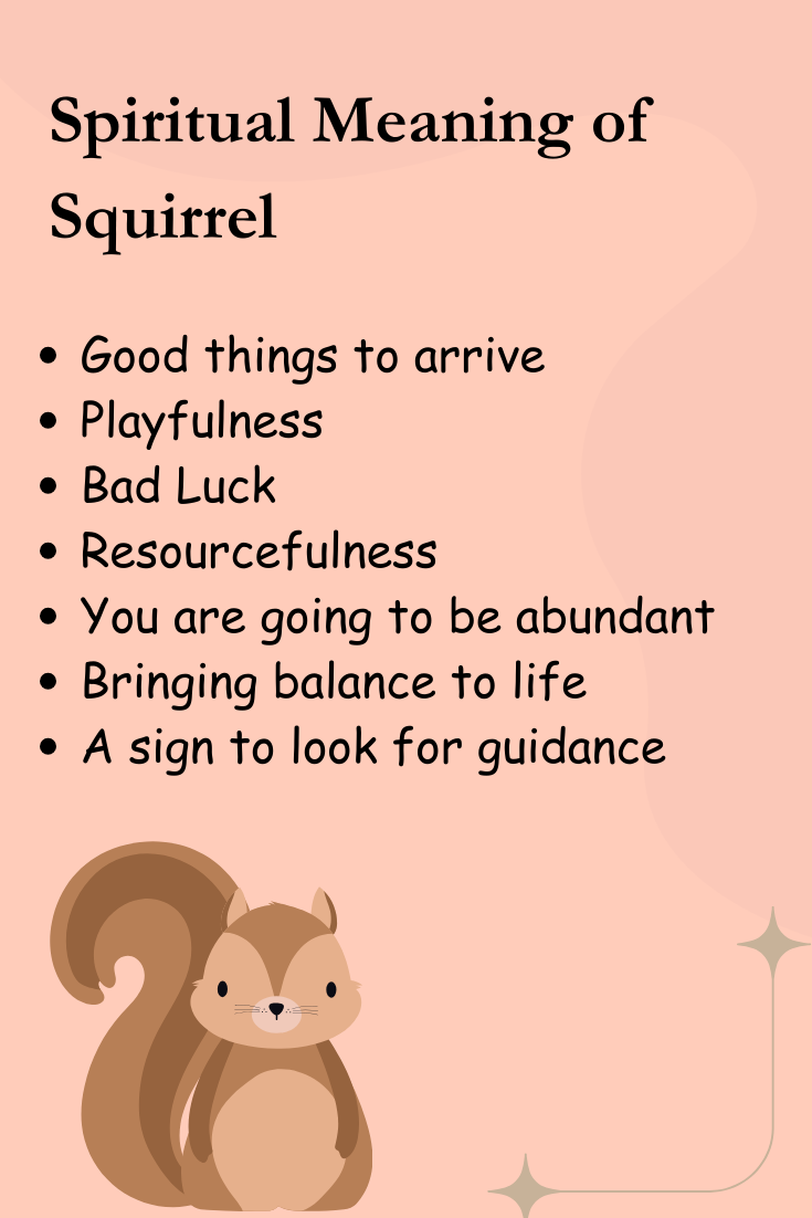 Spiritual Meaning of Squirrel