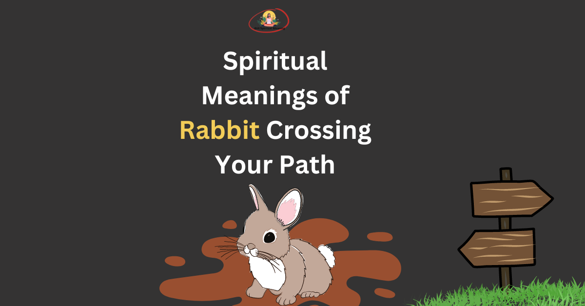 Spiritual Meanings of Rabbit Crossing Your Path
