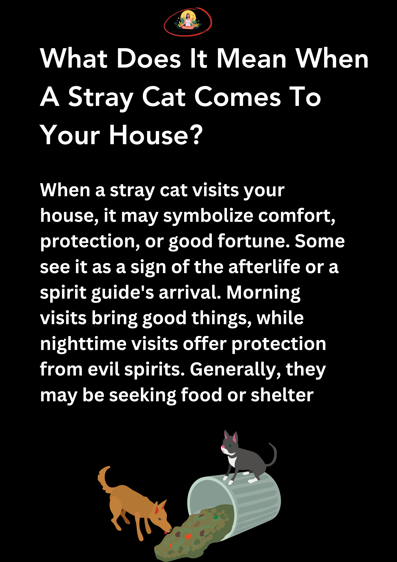 What Does It Mean When A Stray Cat Comes To Your House? 