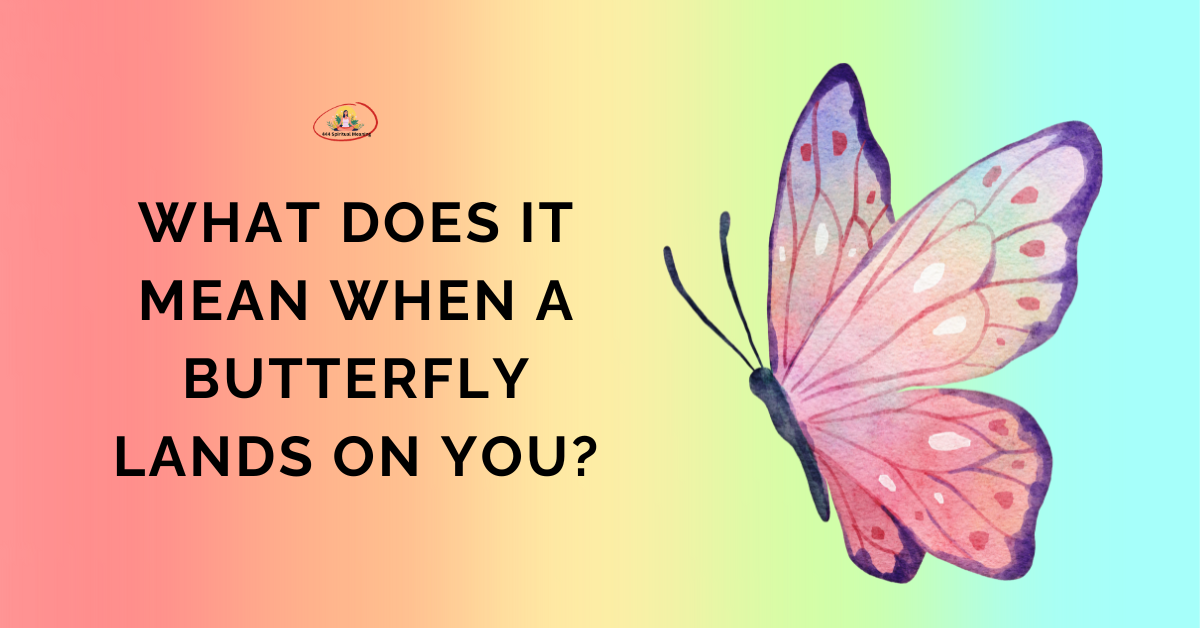 What Does It Mean When a Butterfly Lands on You?