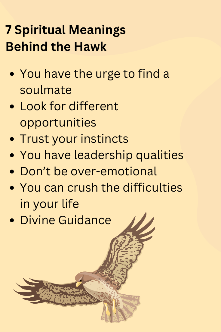 7 Spiritual Meanings Behind the Hawk