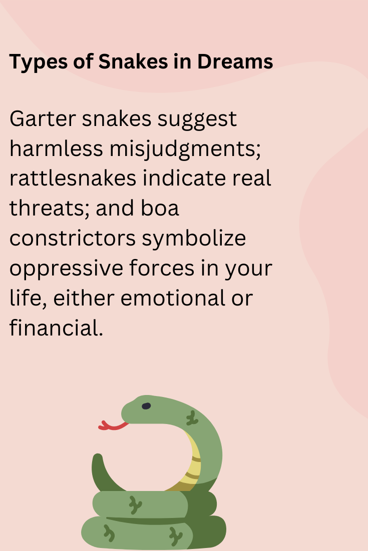 Types of Snakes in Dreams