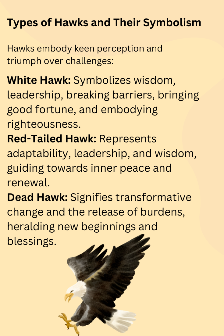 Types of Hawks and Their Symbolism