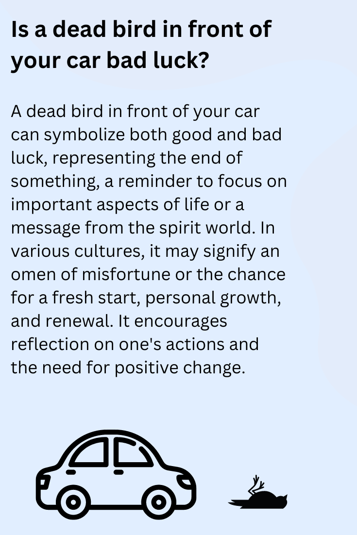 Is a dead bird in front of your car bad luck?
