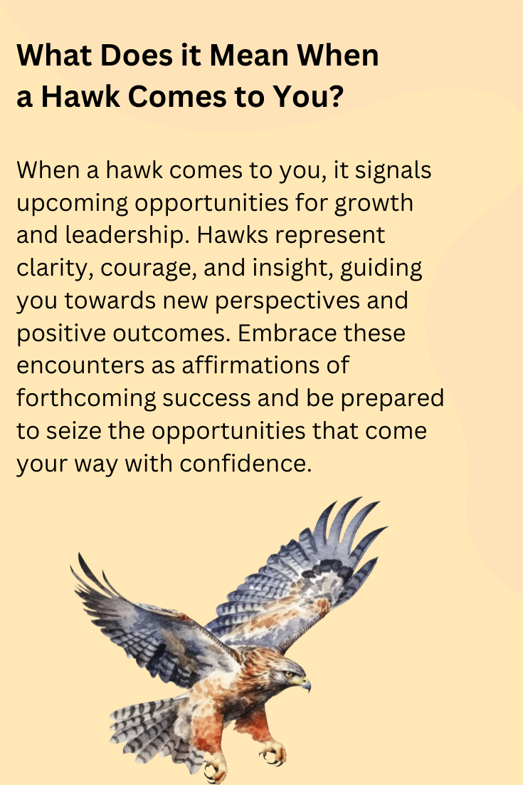 When a hawk comes to you, it signals upcoming opportunities for growth and leadership. Hawks represent clarity, courage, and insight, guiding you towards new perspectives and positive outcomes. Embrace these encounters as affirmations of forthcoming success and be prepared to seize the opportunities that come your way with confidence.