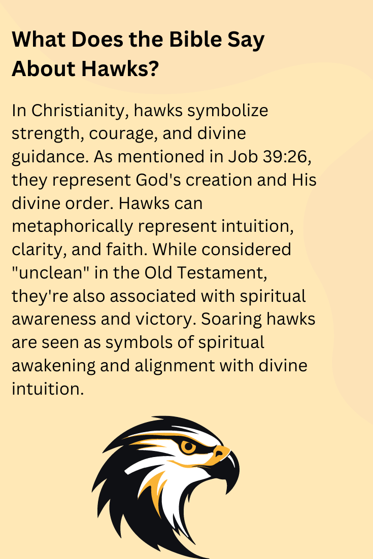 What Does the Bible Say About Hawks?