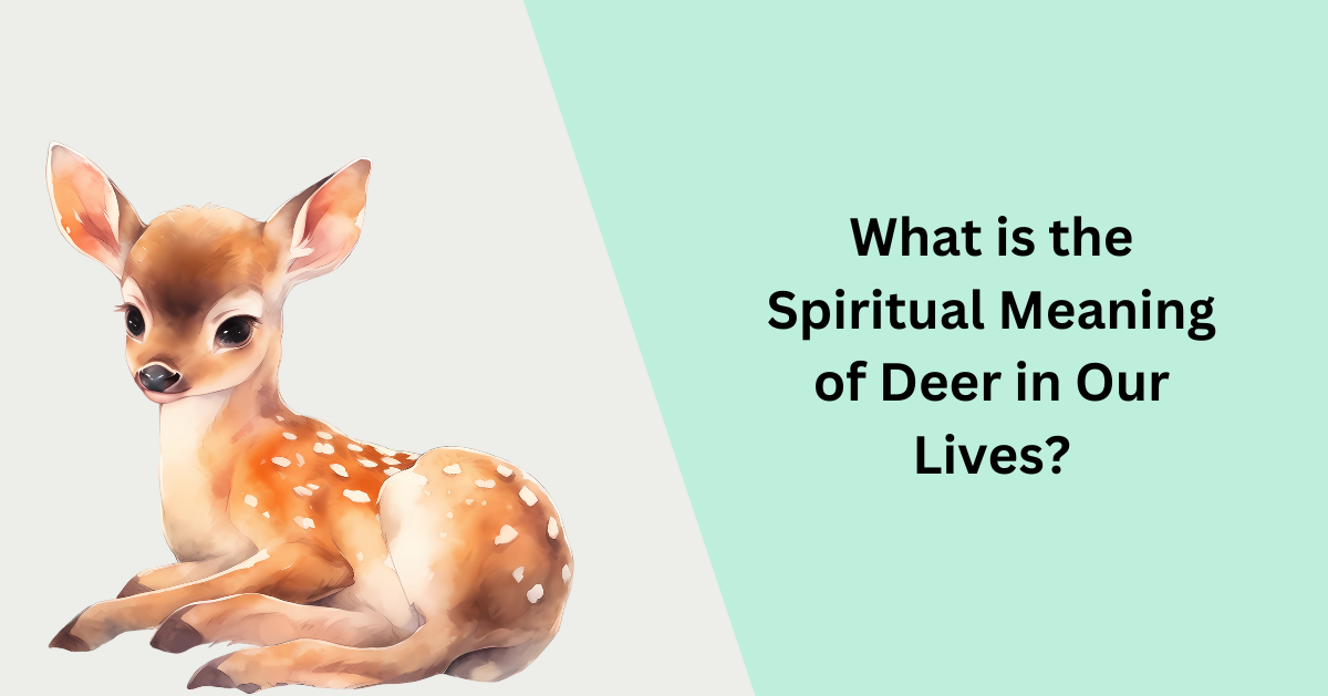 What is the Spiritual Meaning of Deer in Our Lives