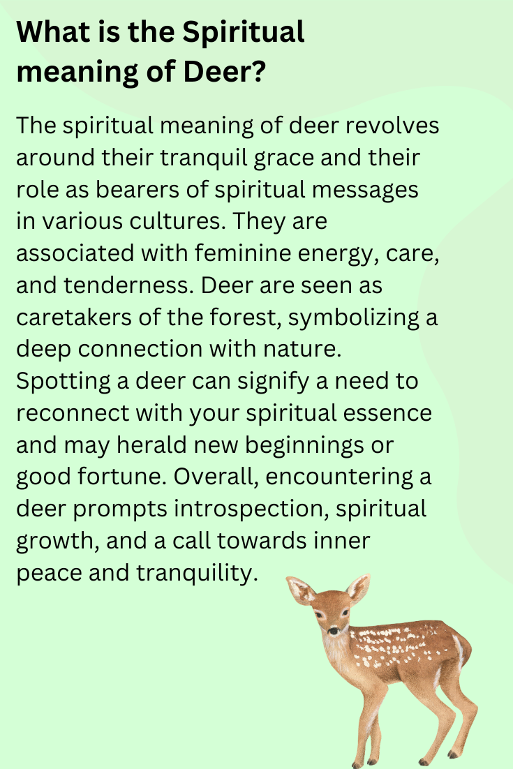 What is the Spiritual meaning of Deer?